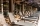 Kashmir Wellness & Spa Hotel 5