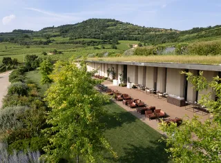 Cantina Pieropan 