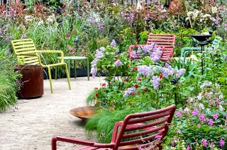 Il giardino 