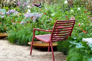 Il giardino 