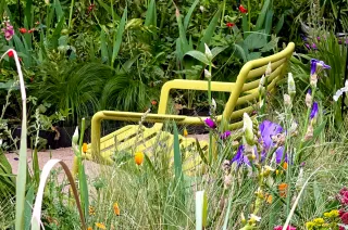 Il giardino 