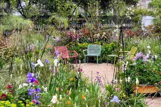 Il giardino 