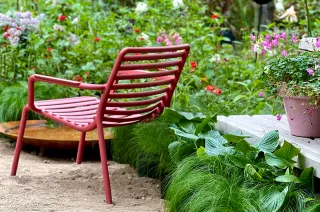 Il giardino 