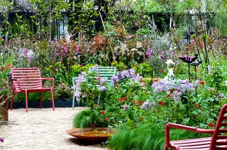 Il giardino 