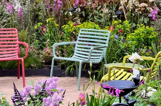 Il giardino 